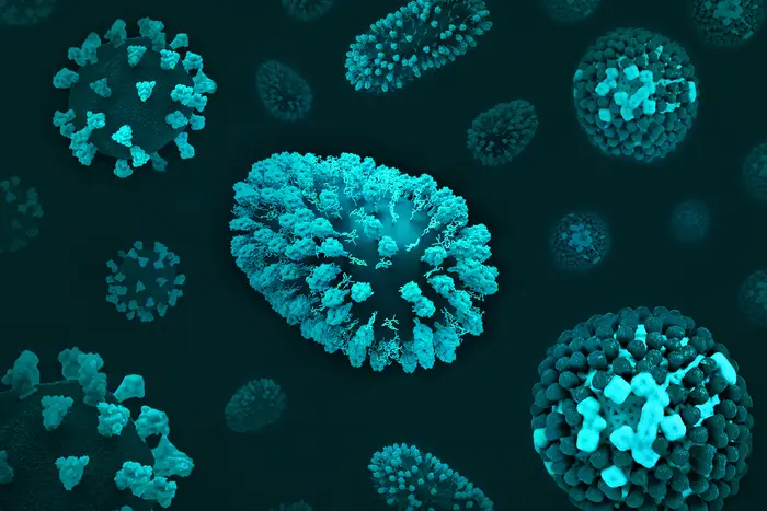 3D renditions of three respiratory viruses: COVID-19 (left), RSV (center; oblong shape), and flu (right)